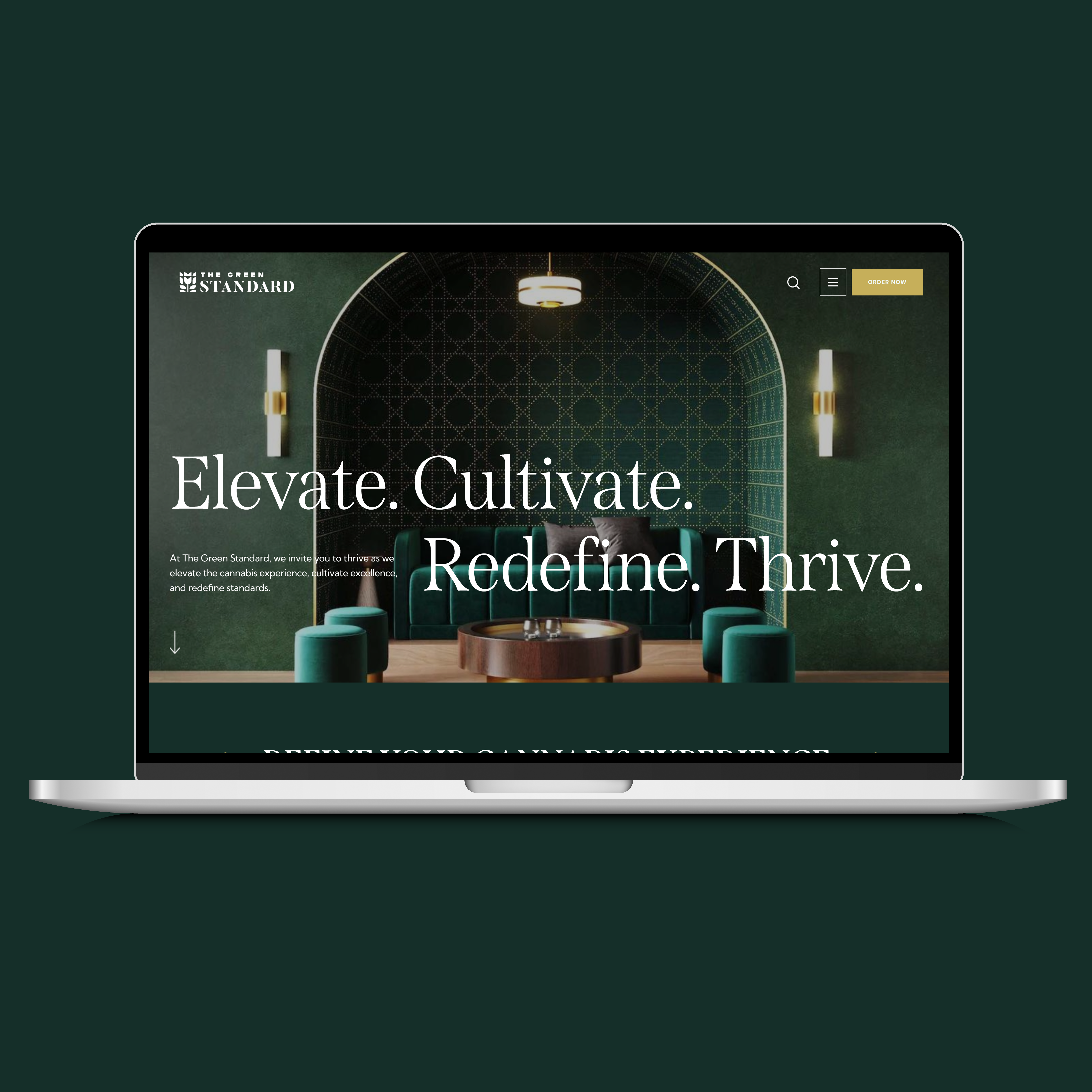 thegreenstandard_web mockup-1