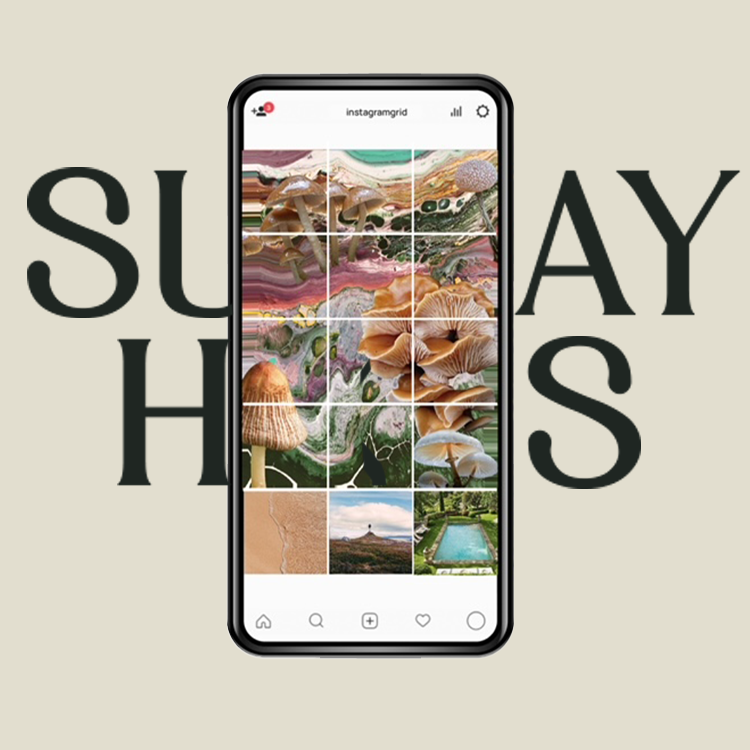 Sunday_Hikes_instagram_Posts square