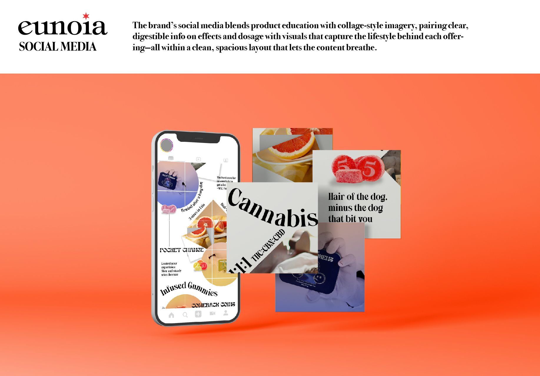brand guide-eunoia-05