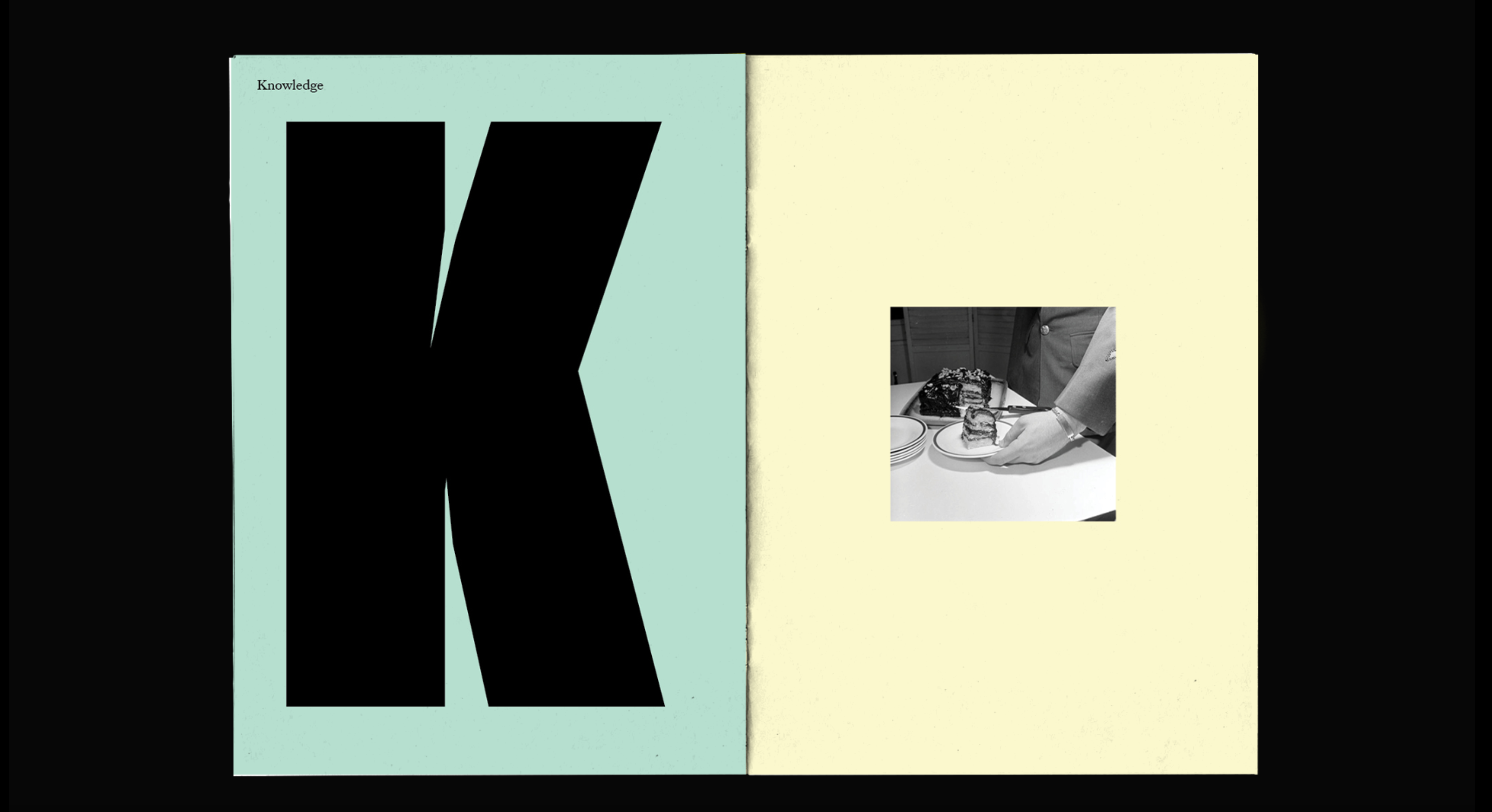 cake zine7