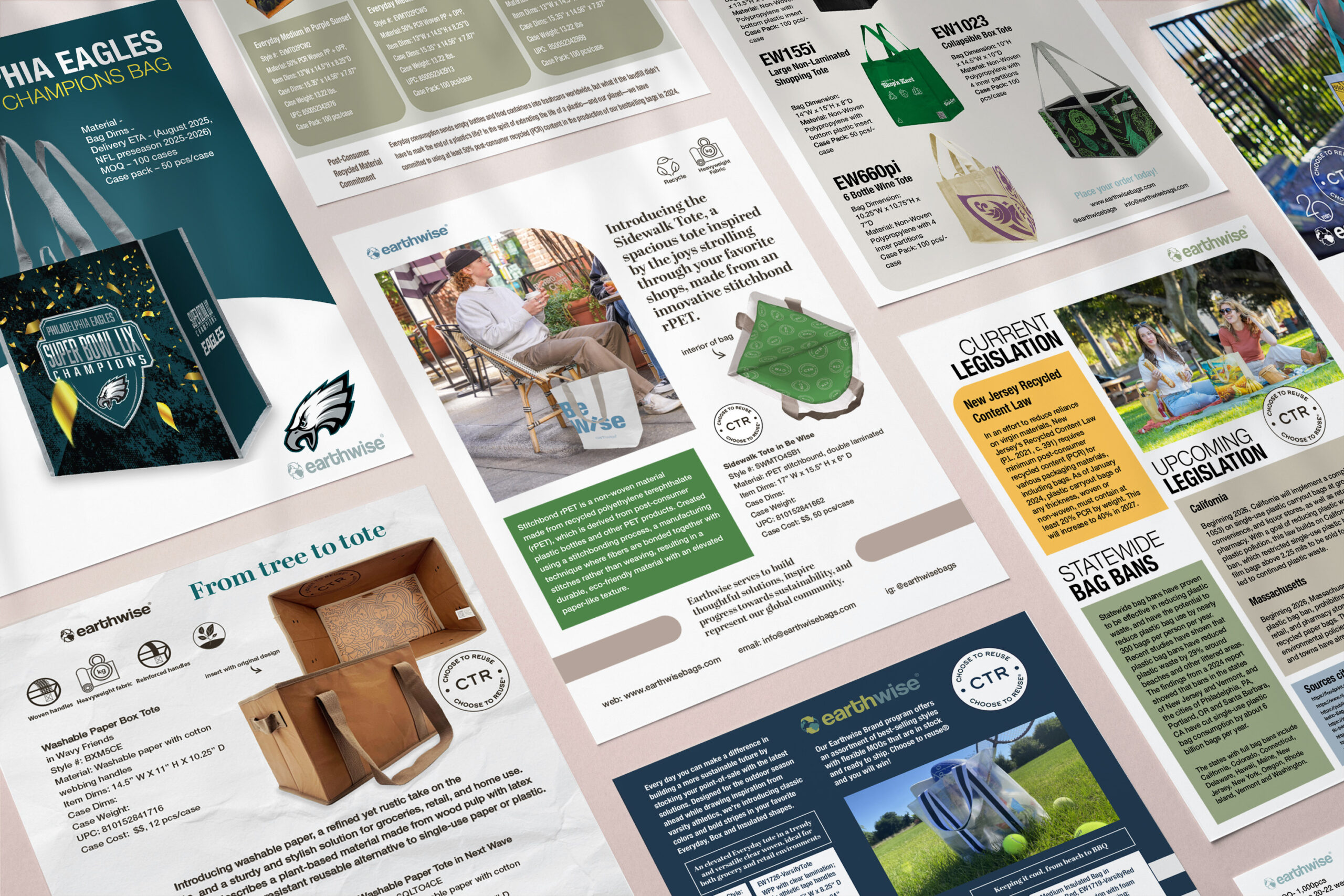 earthwise flyer mocks