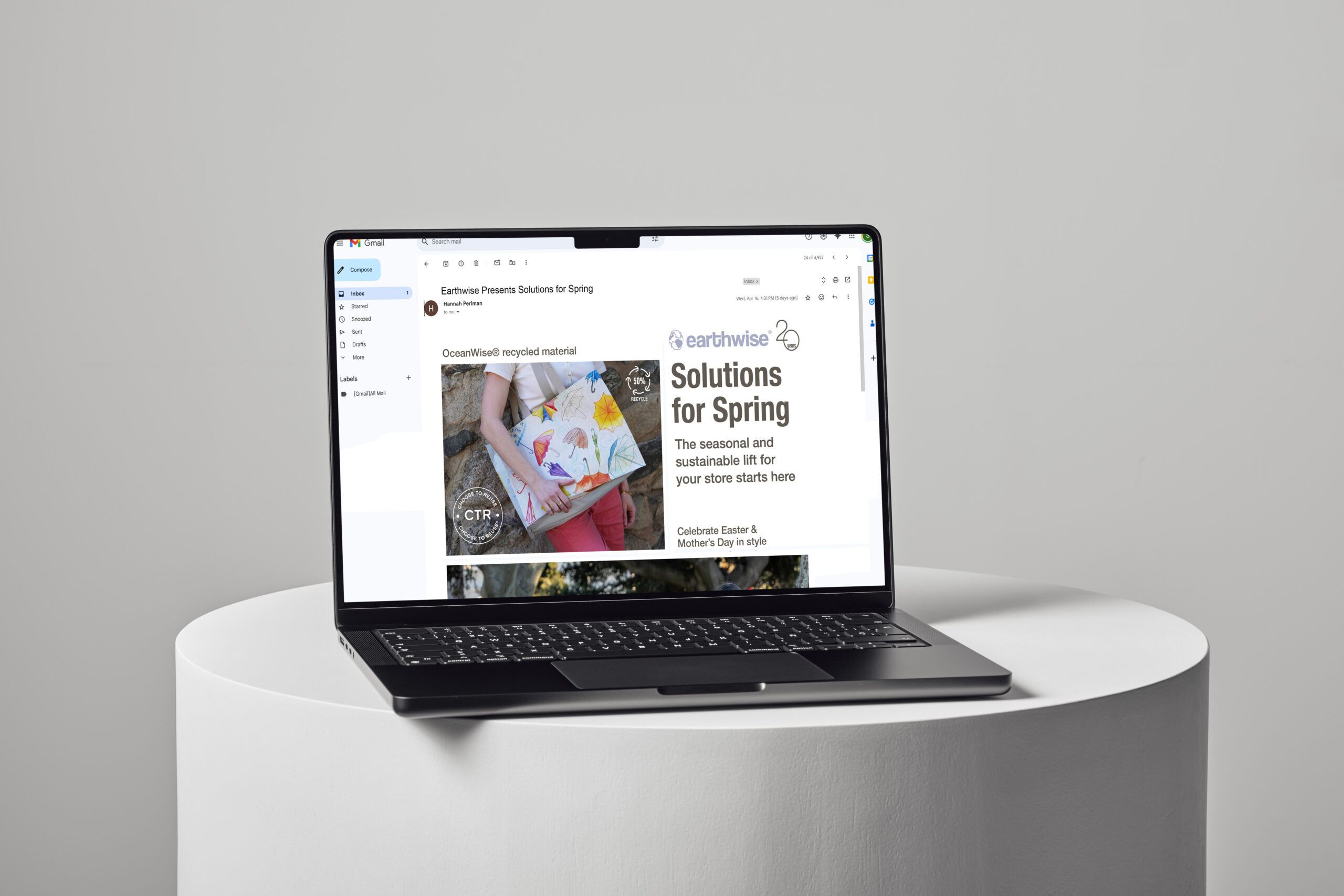 earthwise mockup spring