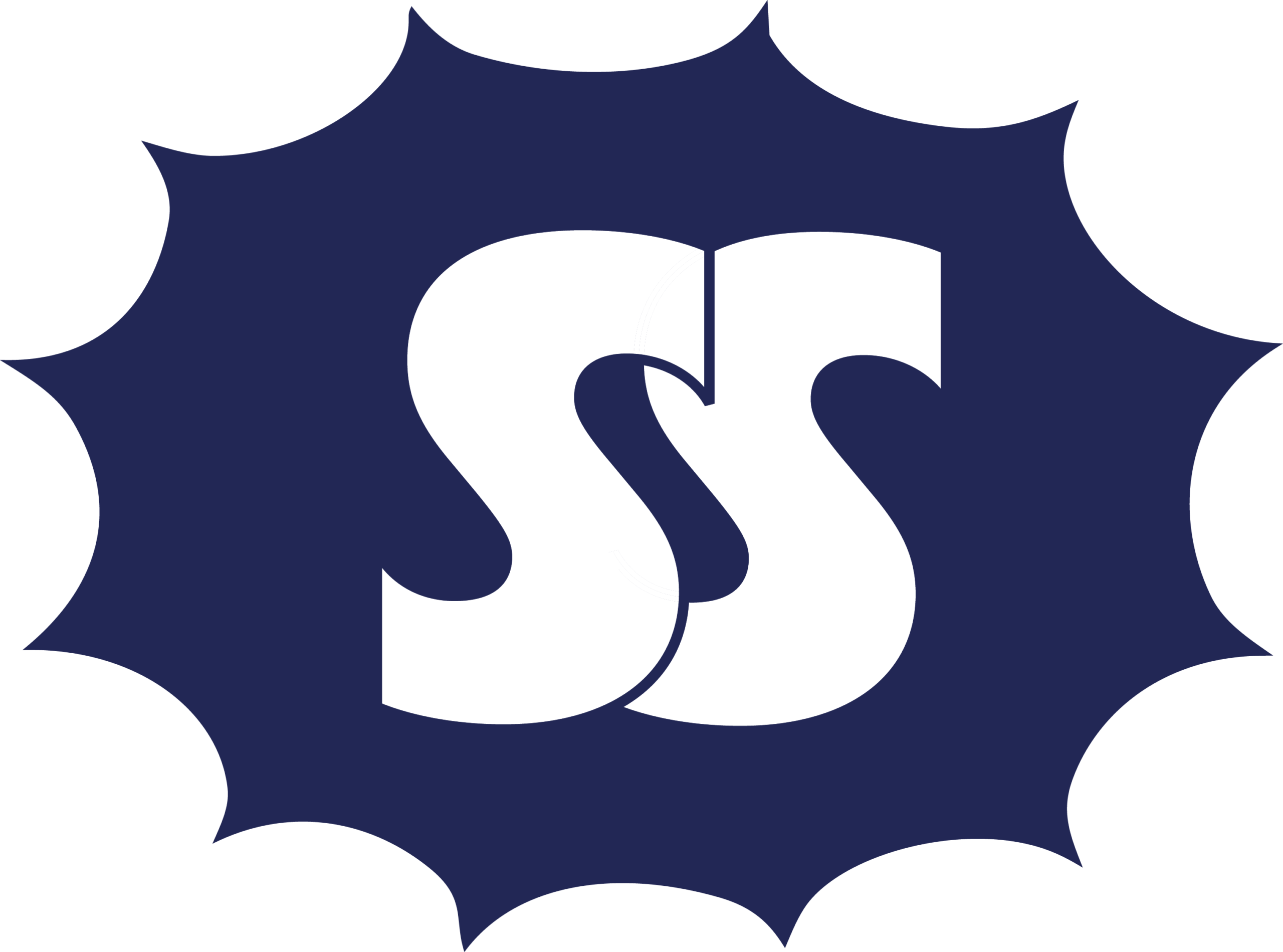 savannahsullivanstudio_web design_assets-26