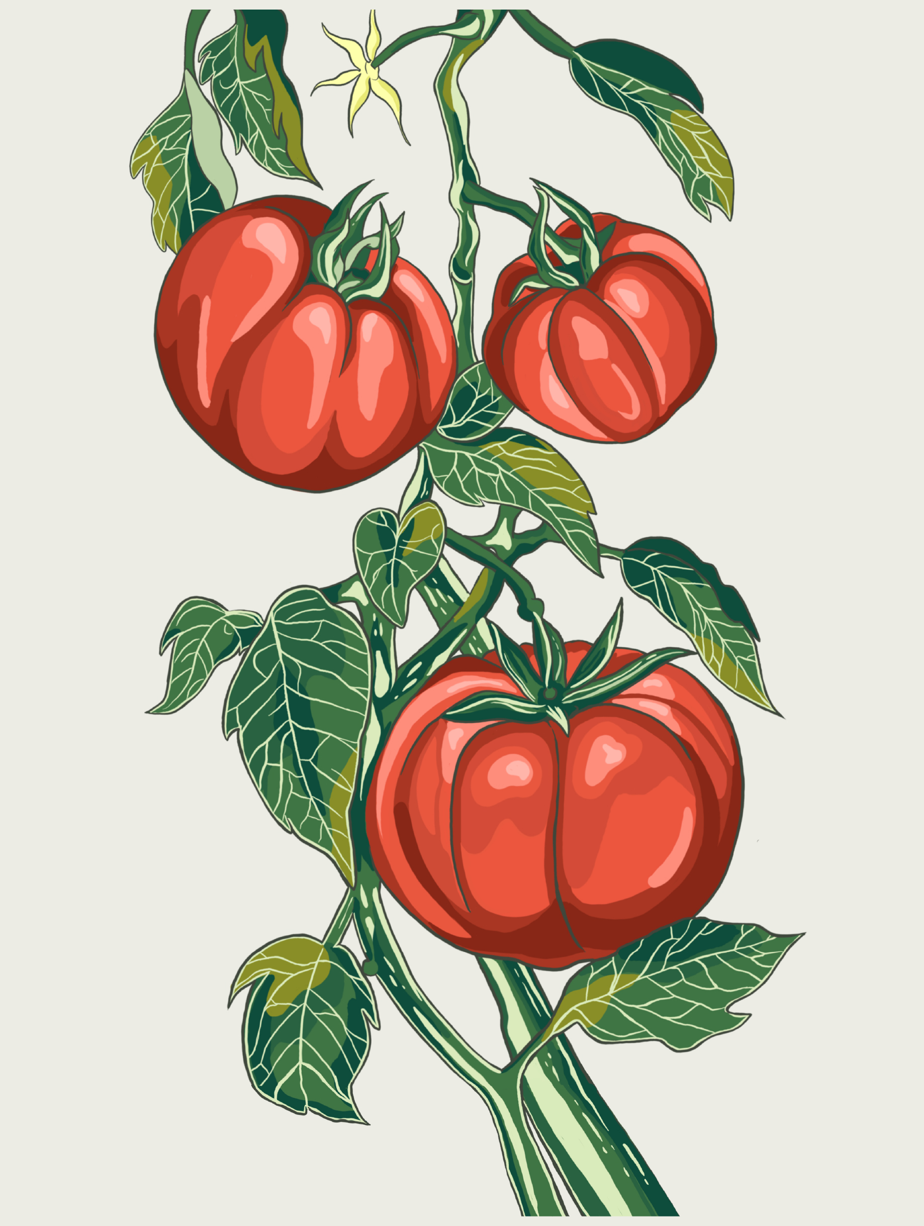 joe prints-12x16_tomato painting-01
